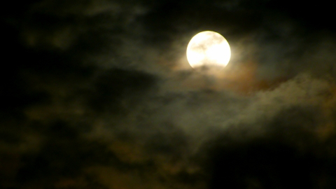 �G�C�W���O���y�A,���R�~,���ݕ�,���ʓI,�^�C�~���O,�p�x,����,��Q��O