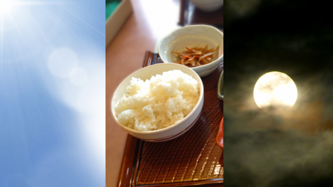 �G�C�W���O���y�A,���R�~,���ݕ�,���ʓI,�^�C�~���O,����,��Q��O