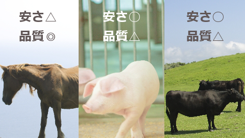 �n�v���Z���^,���S��,���N�`��,�T���u���b�h,�a�C